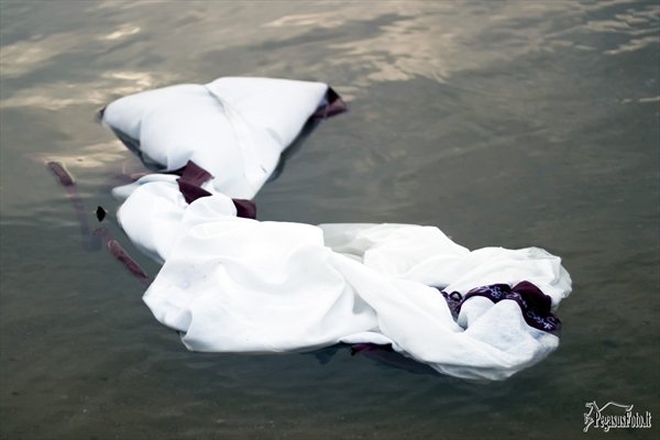 20110624_egle_ir_modestas_sukneles_naikinimas_023
