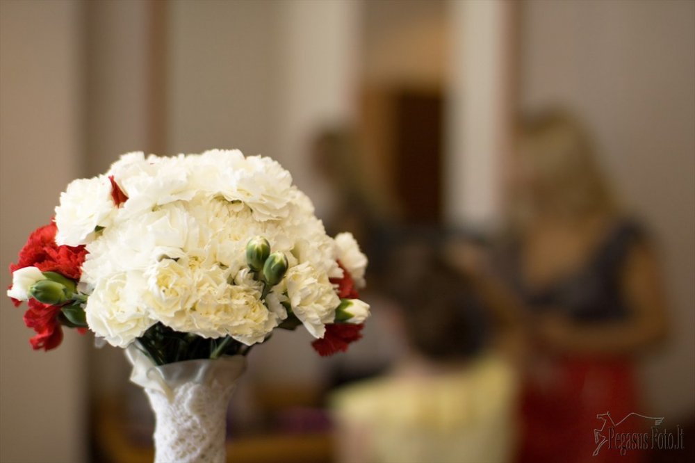 20120616_giedre_ir_edmundas_037