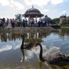 20120616_giedre_ir_edmundas_402