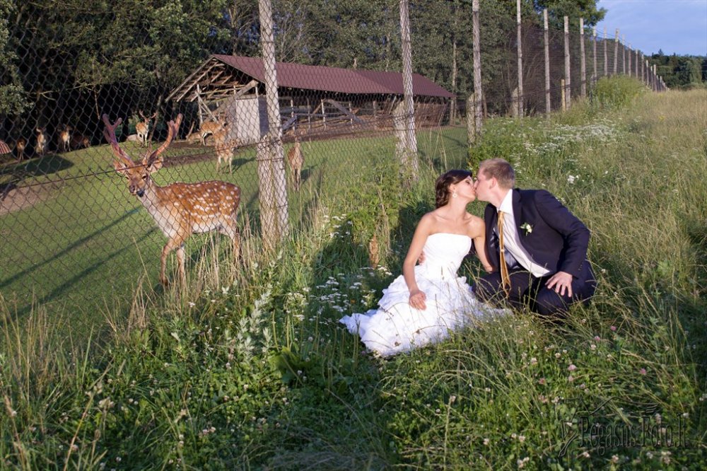 2012_07_21_inga_ir_andrius_063