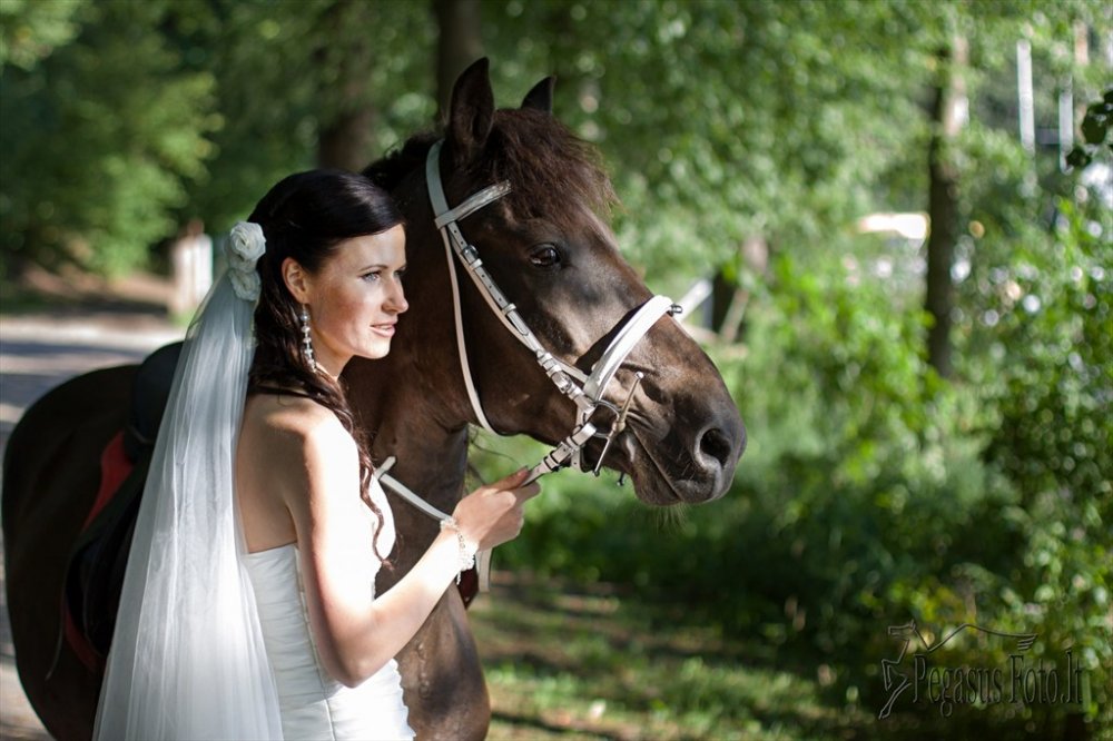 2012_08_11_margarita_ir_evaldas_072