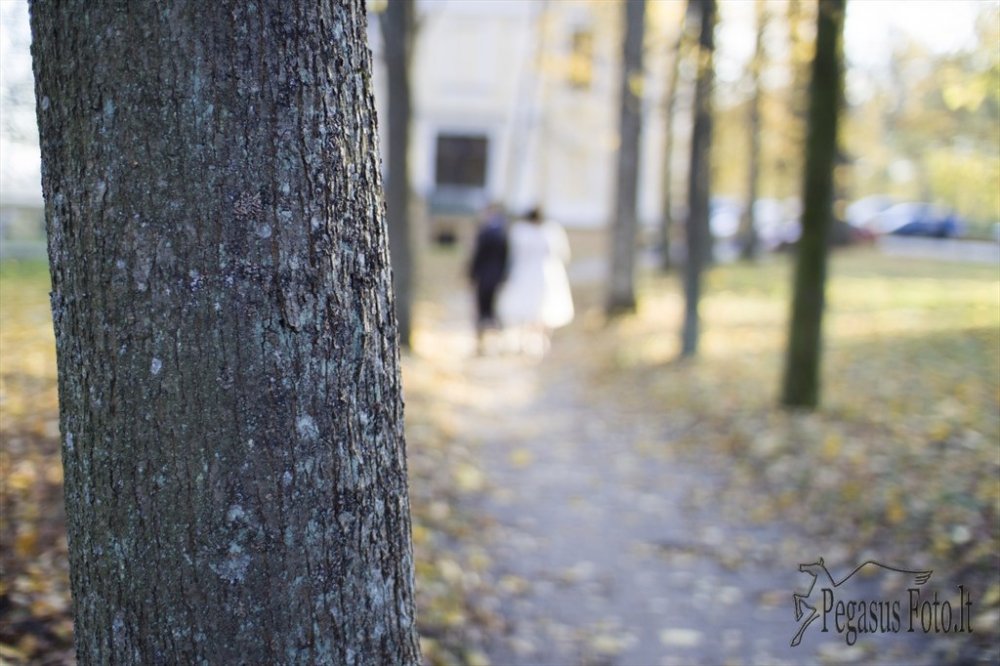 20121019_jolanta_ir_tautvydas_229