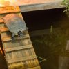20130323_vilma_ir_viktoras_111