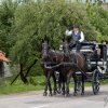 20130713_renata_ir_dainius_394